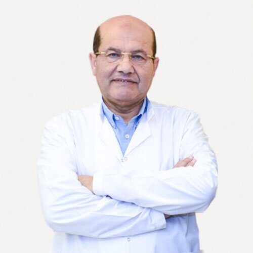 faculty prof abd el aziz el taweele