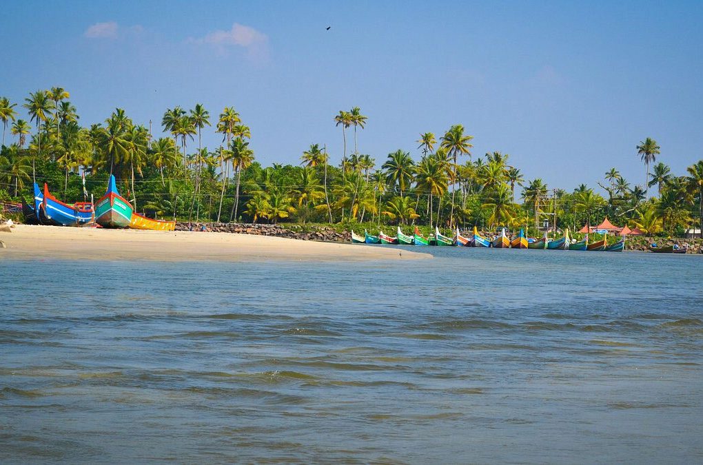 kochi